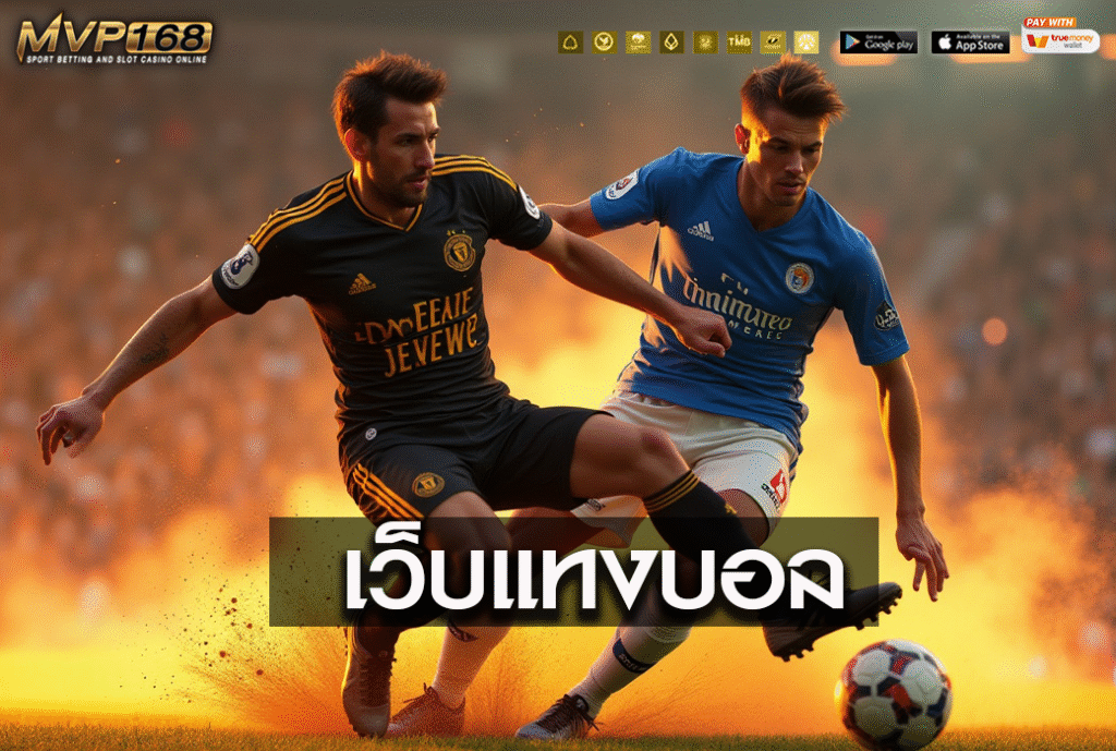 เว็บแทงบอล